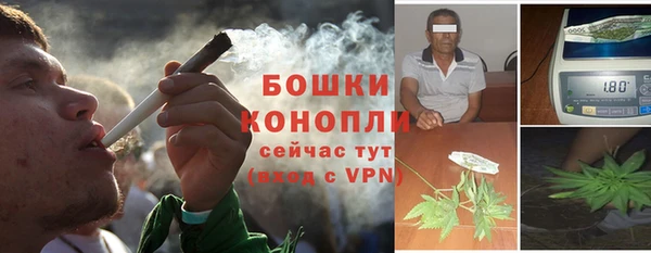 ПСИЛОЦИБИНОВЫЕ ГРИБЫ Вязьма