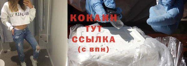 ПСИЛОЦИБИНОВЫЕ ГРИБЫ Вязьма