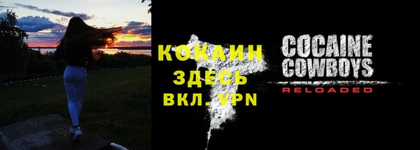 дмт Горно-Алтайск