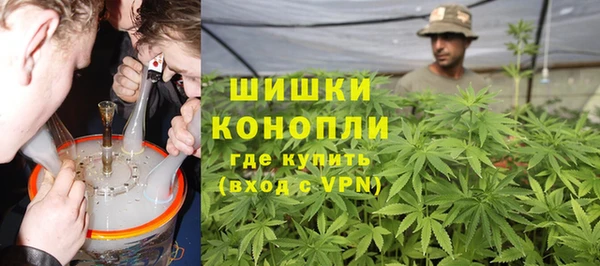 ПСИЛОЦИБИНОВЫЕ ГРИБЫ Вязьма