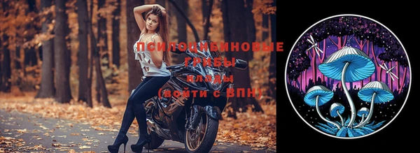 ПСИЛОЦИБИНОВЫЕ ГРИБЫ Вязьма