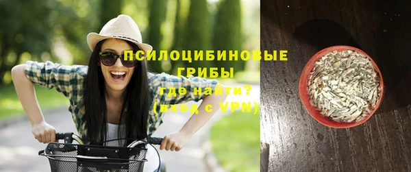дмт Горнозаводск