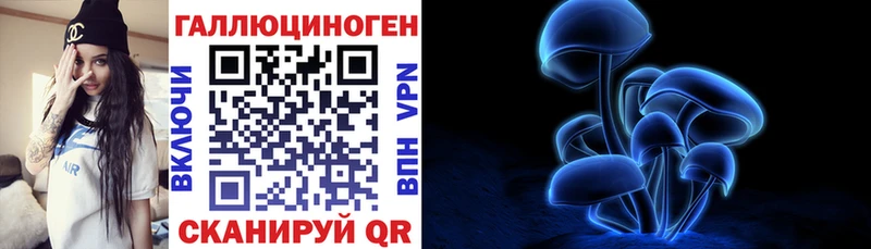 Псилоцибиновые грибы Cubensis  kraken сайт  Дальнегорск 